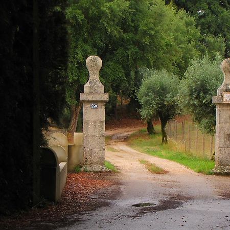 Quinta Do Cerquito Villa Ferreira do Zêzere Eksteriør bilde