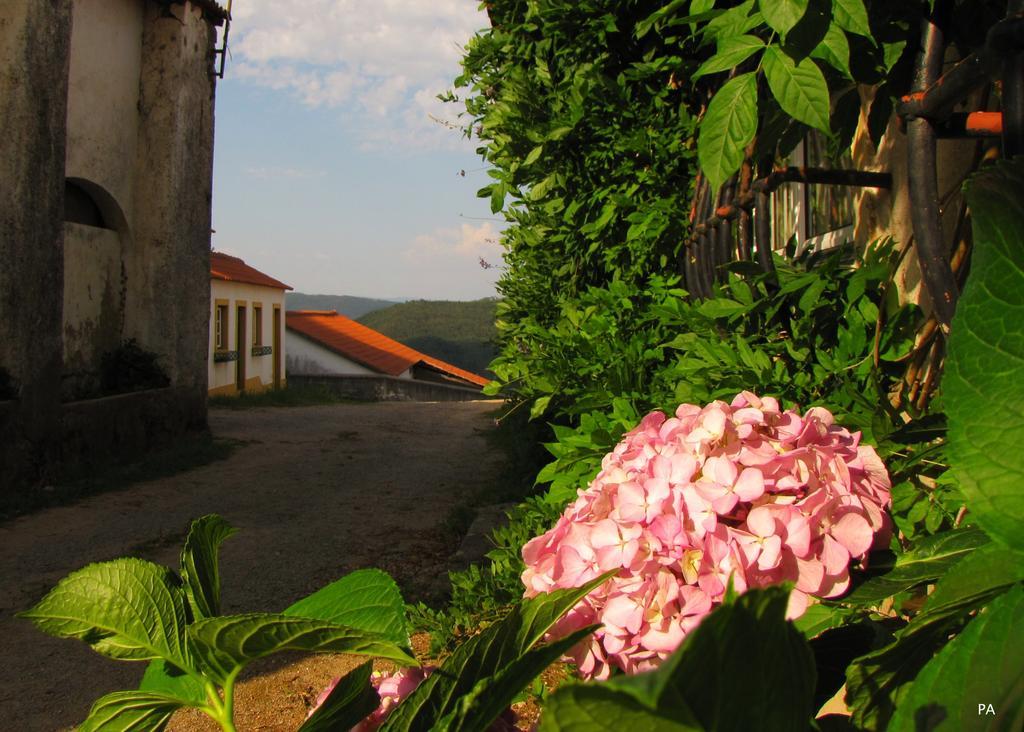 Quinta Do Cerquito Villa Ferreira do Zêzere Eksteriør bilde
