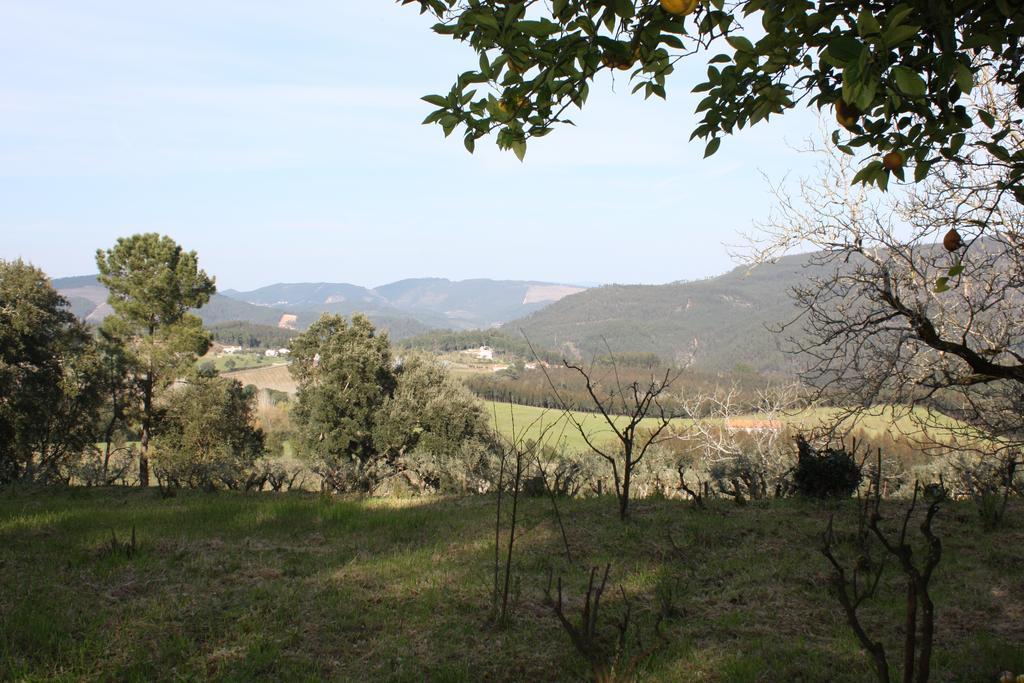 Quinta Do Cerquito Villa Ferreira do Zêzere Eksteriør bilde