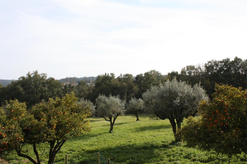 Quinta Do Cerquito Villa Ferreira do Zêzere Eksteriør bilde